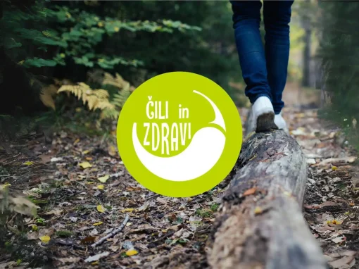 Čili in zdravi