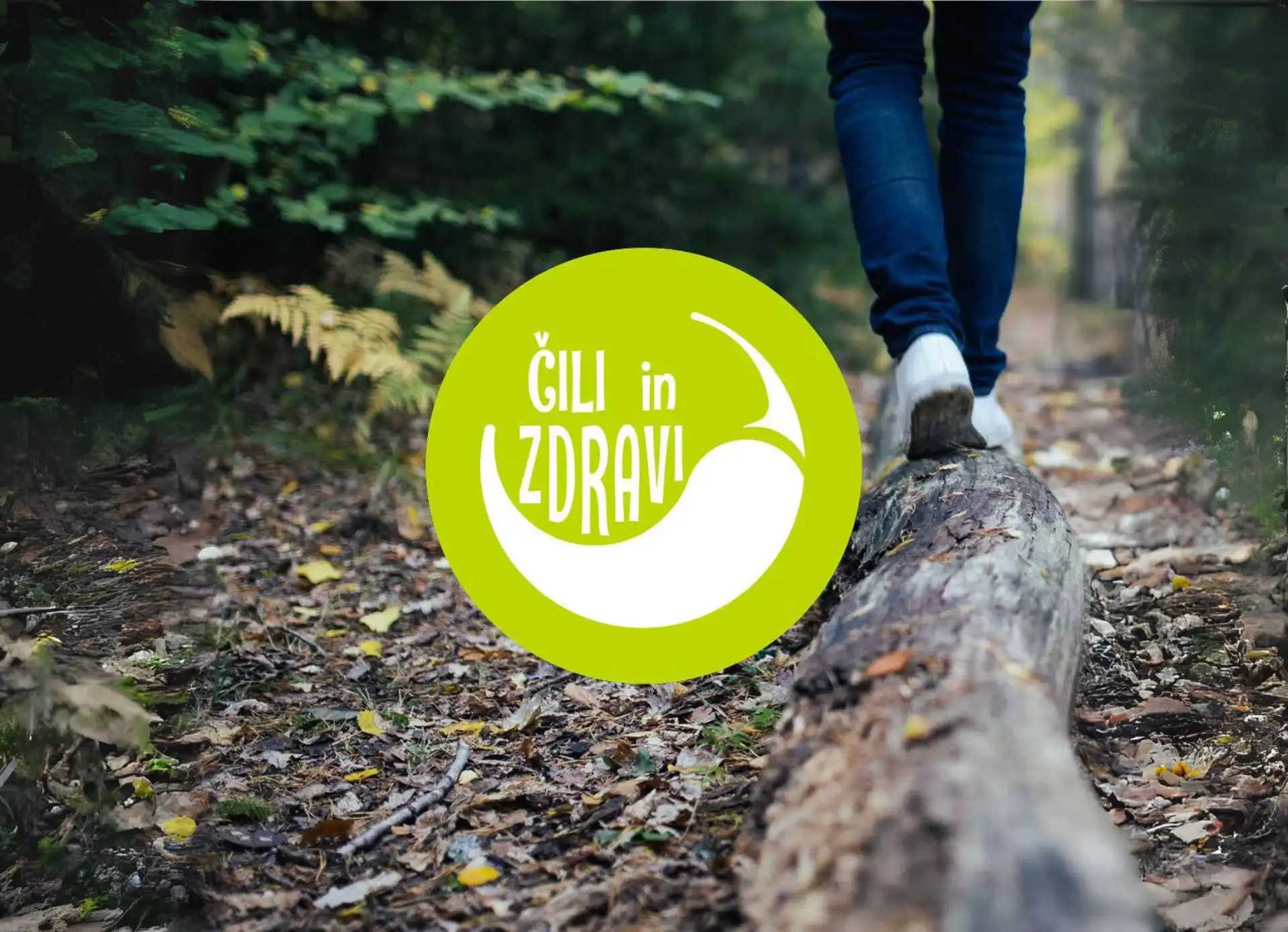 Čili in zdravi